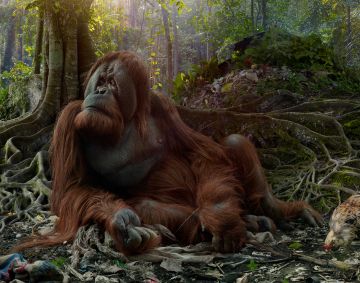 Simen JOHAN (*1973, Norway): Untitled #175 – Christophe Guye Galerie