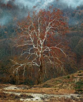 Simen JOHAN (*1973, Norway): Untitled #177 – Christophe Guye Galerie