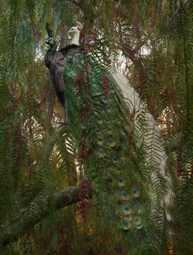 Simen JOHAN (*1973, Norway): Untitled #178 – Christophe Guye Galerie