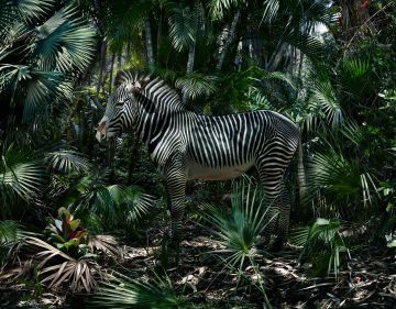 Simen JOHAN (*1973, Norway): Untitled #181 – Christophe Guye Galerie