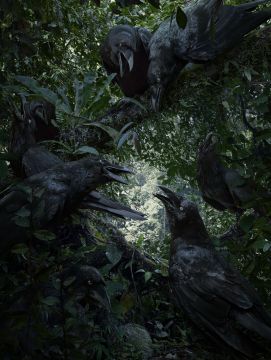 Simen JOHAN (*1973, Norway): Untitled #193  – Christophe Guye Galerie