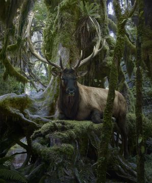Simen JOHAN (*1973, Norway): Untitled #194  – Christophe Guye Galerie