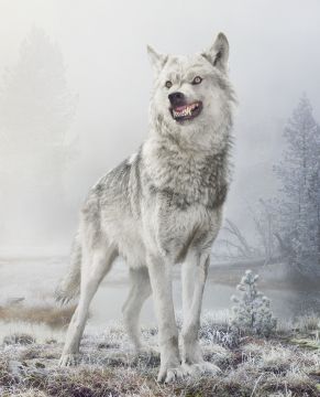 Simen JOHAN (*1973, Norway): Untitled #195  – Christophe Guye Galerie