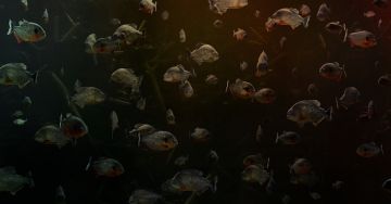 Simen JOHAN (*1973, Norway): Untitled #201 – Christophe Guye Galerie