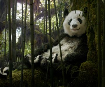 Simen JOHAN (*1973, Norway): Untitled #203  – Christophe Guye Galerie