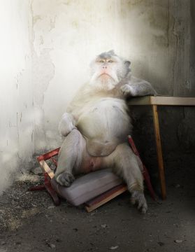 Simen JOHAN (*1973, Norway): Untitled #199  – Christophe Guye Galerie