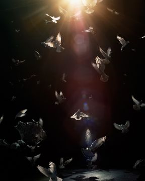 Simen JOHAN (*1973, Norway): Untitled #187 – Christophe Guye Galerie