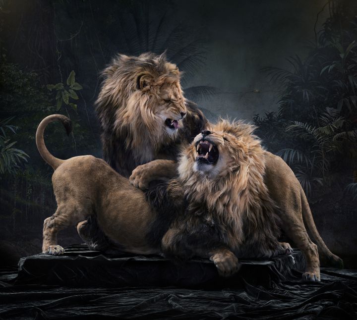 Re-invented Realism – Christophe Guye Galerie