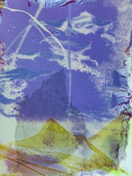 Stephen GILL (*1971, Great Britain): Untitled, from the series 'Best Before End' – Christophe Guye Galerie