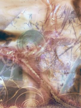 Stephen GILL (*1971, Great Britain): Rockstar Sugar Free #2, from the series 'Best Before End' – Christophe Guye Galerie