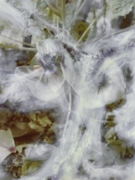 Stephen GILL (*1971, Great Britain): Rockstar Sugar Free from the series Best Before End – Christophe Guye Galerie