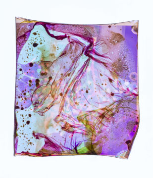 Stephen GILL (*1971, Great Britain): Energy Field #053 – Christophe Guye Galerie