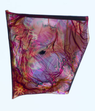 Stephen GILL (*1971, Great Britain): Energy Field #260 – Christophe Guye Galerie