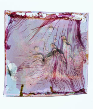 Stephen GILL (*1971, Great Britain): Energy Field #427 – Christophe Guye Galerie