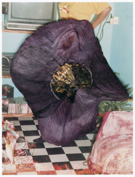 Stephen GILL (*1971, Great Britain): Untitled, from the series 'Hackney Flowers' – Christophe Guye Galerie