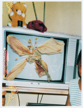 Stephen GILL (*1971, Great Britain): Untitled, from the series 'Hackney Flowers' – Christophe Guye Galerie