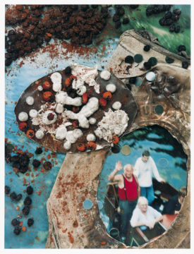 Stephen GILL (*1971, Great Britain): Untitled, from the series 'Hackney Flowers' – Christophe Guye Galerie