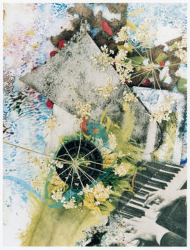 Stephen GILL (*1971, Great Britain): Untitled, from the series 'Hackney Flowers' – Christophe Guye Galerie