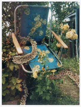 Stephen GILL (*1971, Great Britain): Untitled, from the series 'Hackney Flowers' – Christophe Guye Galerie