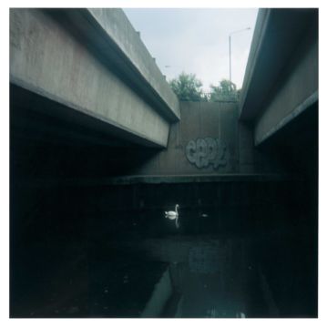 Stephen GILL (*1971, Great Britain): Untitled, from the series 'Hackney Wick' – Christophe Guye Galerie