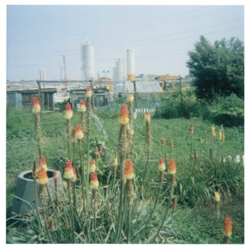 Stephen GILL (*1971, Great Britain): Untitled, from the series 'Hackney Wick' – Christophe Guye Galerie