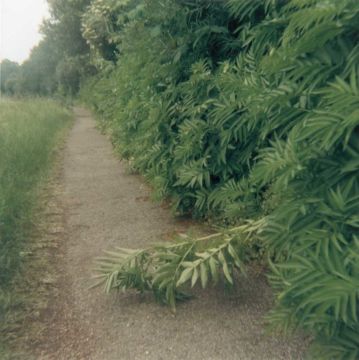 Stephen GILL (*1971, Great Britain): Untitled, from the series 'Hackney Wick' – Christophe Guye Galerie
