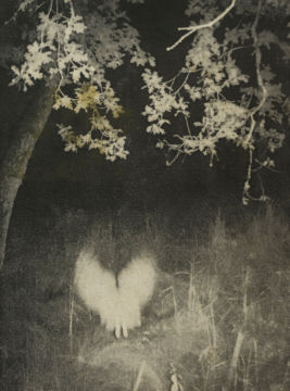 Stephen GILL (*1971, Great Britain): Untitled, from the series 'Night Procession' – Christophe Guye Galerie