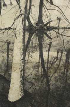 Stephen GILL (*1971, Great Britain): Untitled, from the series 'Night Procession' – Christophe Guye Galerie