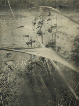 Stephen GILL (*1971, Great Britain): Untitled, from the series 'Night Procession' – Christophe Guye Galerie