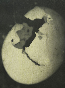 Stephen GILL (*1971, Great Britain): Untitled, from the series 'Night Procession' – Christophe Guye Galerie