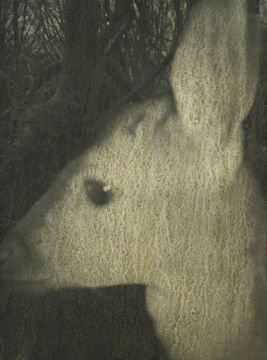 Stephen GILL (*1971, Great Britain): Untitled, from the series 'Night Procession' – Christophe Guye Galerie