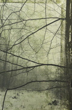 Stephen GILL (*1971, Great Britain): Untitled, from the series 'Night Procession' – Christophe Guye Galerie