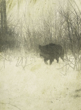 Stephen GILL (*1971, Great Britain): Untitled, from the series 'Night Procession' – Christophe Guye Galerie