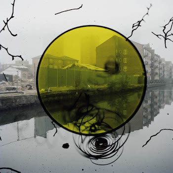 Stephen GILL (*1971, Great Britain): Untitled, from the series 'Talking to Ants' – Christophe Guye Galerie