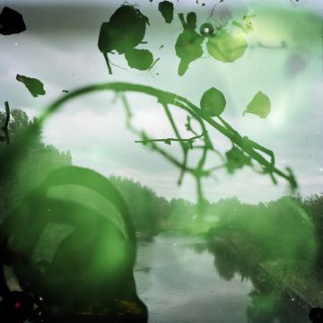 Stephen GILL (*1971, Great Britain) : Untitled, from the series 'Talking to Ants' – Christophe Guye Galerie