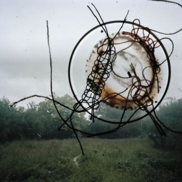 Stephen GILL (*1971, Great Britain): Untitled, from the series 'Talking to Ants' – Christophe Guye Galerie