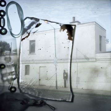 Stephen GILL (*1971, Great Britain) : Untitled, from the series 'Talking to Ants' – Christophe Guye Galerie