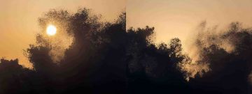 Syoin KAJII (*1976, Japan): Untitled from the series of NAMI II, V01-V02 – Christophe Guye Galerie
