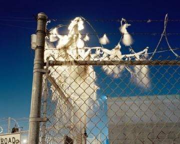 Will STEACY (*1980, United States) : Bags In Barb Wire, Los Angeles – Christophe Guye Galerie