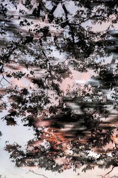 Yoshinori MIZUTANI (*1987, Japan): HDR Nature 005 – Christophe Guye Galerie