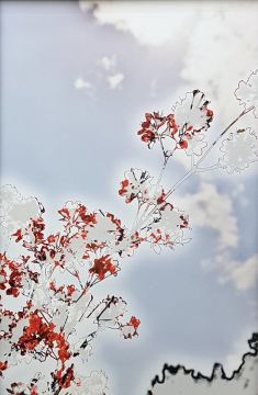 Yoshinori MIZUTANI (*1987, Japan): HDR_nature 023 – Christophe Guye Galerie