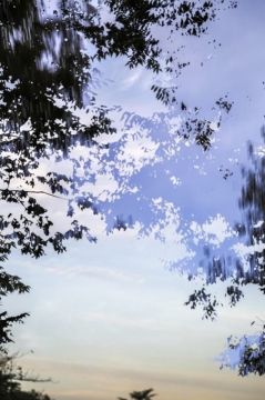Yoshinori MIZUTANI (*1987, Japan): HDR_nature 018 – Christophe Guye Galerie