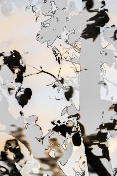 Yoshinori MIZUTANI (*1987, Japan): HDR_nature 003 – Christophe Guye Galerie