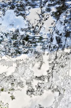 Yoshinori MIZUTANI (*1987, Japan): HDR_nature 006 – Christophe Guye Galerie