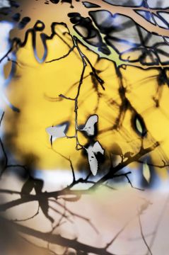Yoshinori MIZUTANI (*1987, Japan): HDR_nature 010 – Christophe Guye Galerie