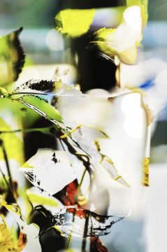 Yoshinori MIZUTANI (*1987, Japan): HDR_nature 011 – Christophe Guye Galerie