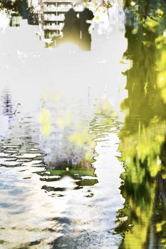 Yoshinori MIZUTANI (*1987, Japan): HDR_nature 019 – Christophe Guye Galerie