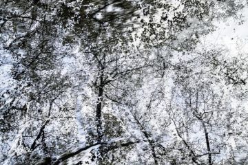 Yoshinori MIZUTANI (*1987, Japan): HDR_nature 021 – Christophe Guye Galerie