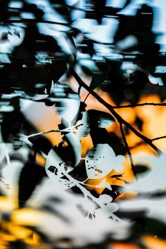 Yoshinori MIZUTANI (*1987, Japan): HDR_nature 000 – Christophe Guye Galerie