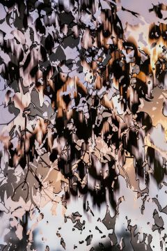 Yoshinori MIZUTANI (*1987, Japan): HDR_nature 004 – Christophe Guye Galerie